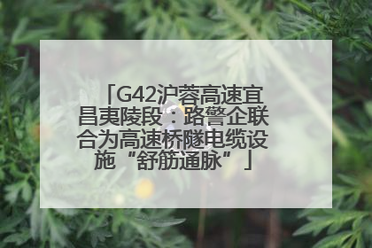 G42沪蓉高速宜昌夷陵段：路警企联合为高速桥隧电缆设施“舒筋通脉”